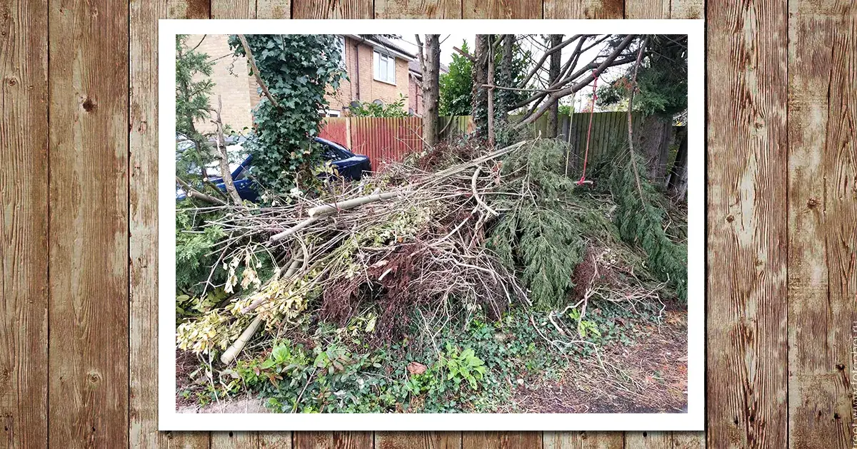 Village green waste