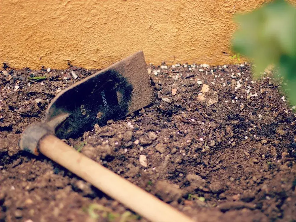 Soil