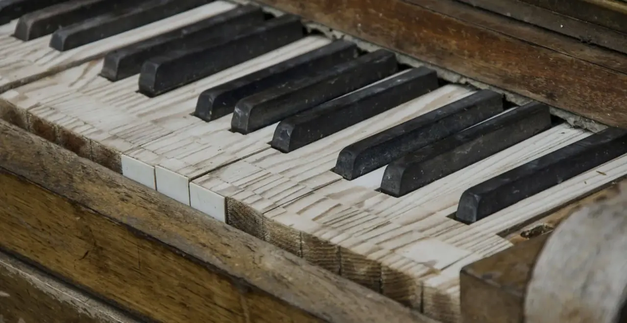 Piano Disposal work by City Junk and Gardening
