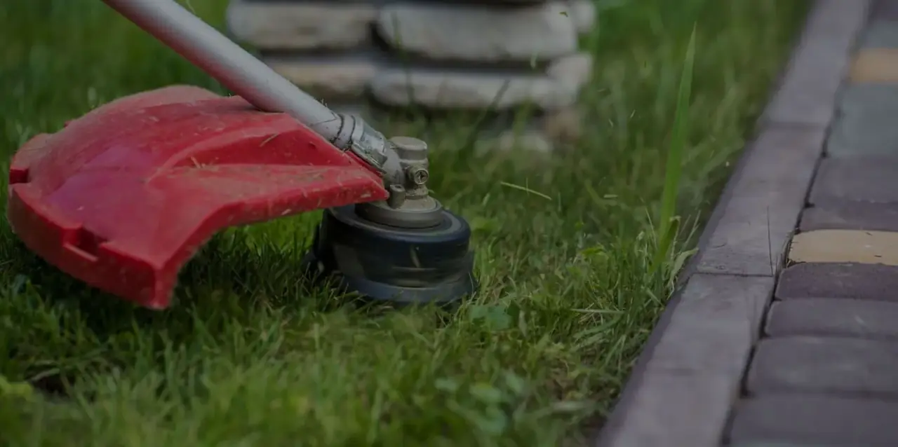 Grass Cutting Services work by City Junk and Gardening