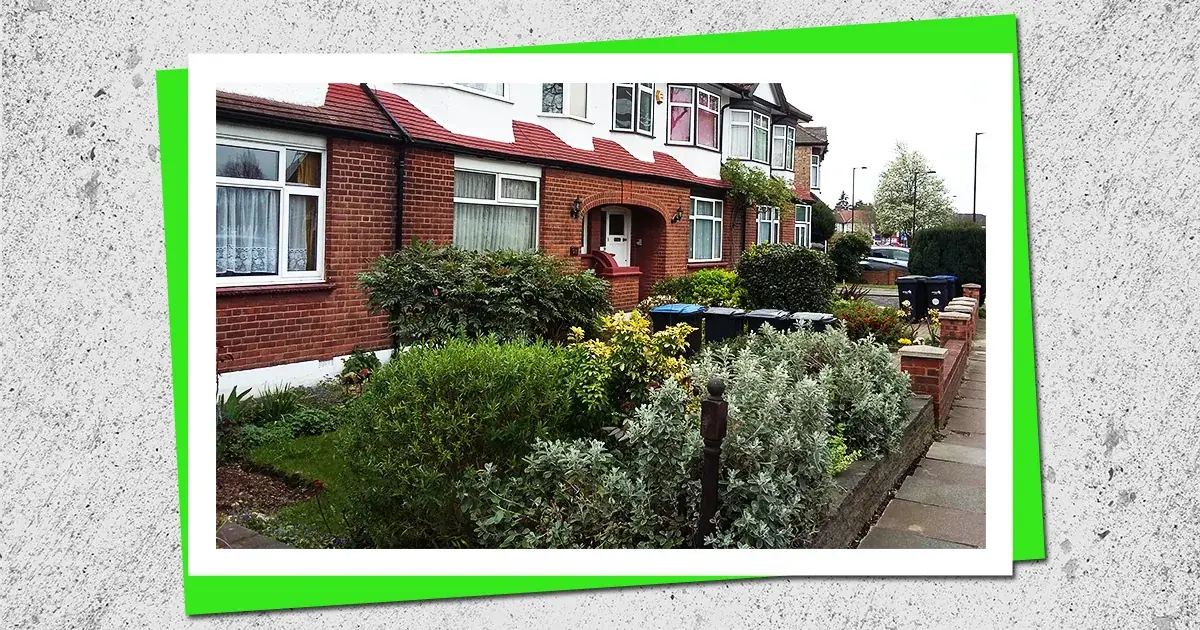 Enfield front garden trimming