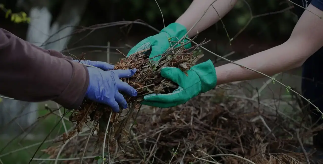 Garden Waste Removal work by City Junk and Gardening
