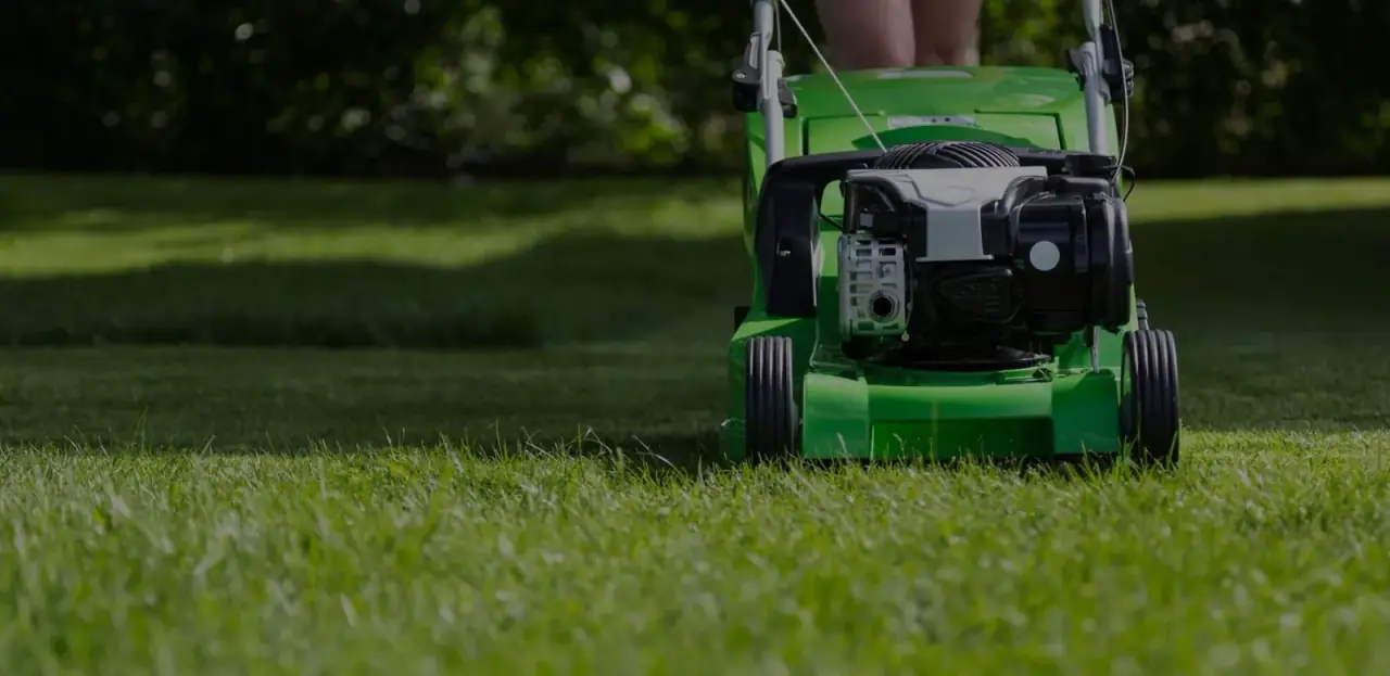Gardening Services work by City Junk and Gardening
