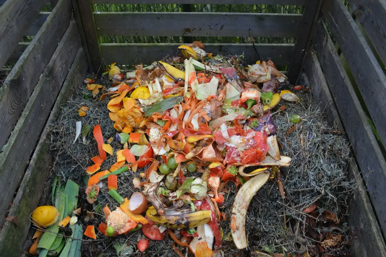 Composter food