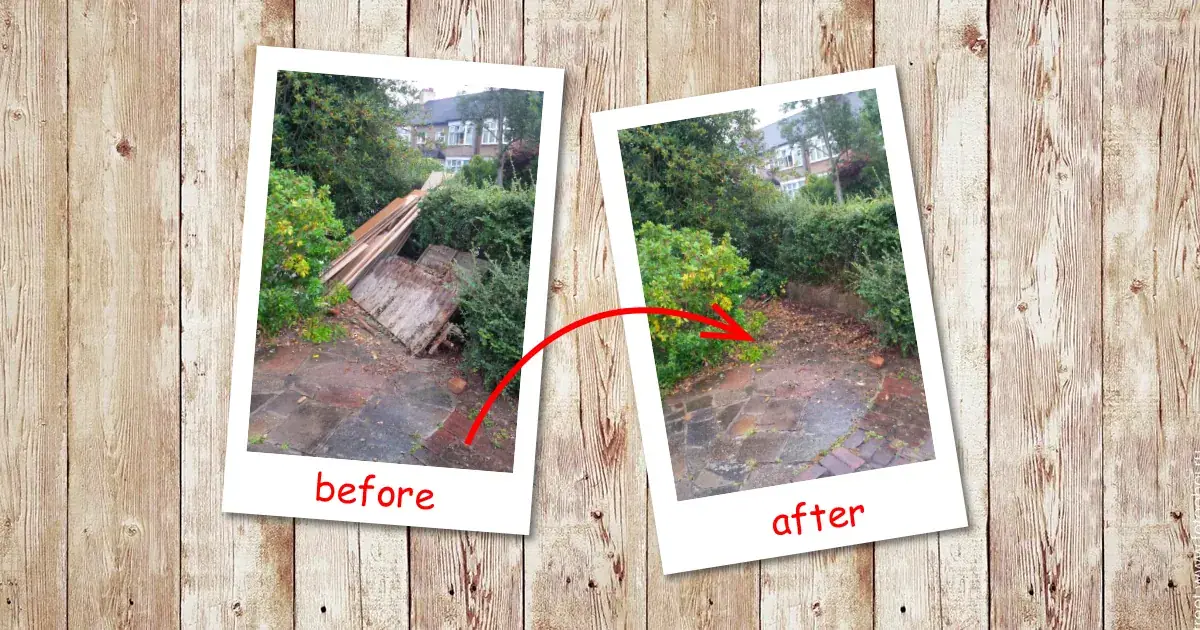 Wood clearance in Thames (Barking & Dagenham)
