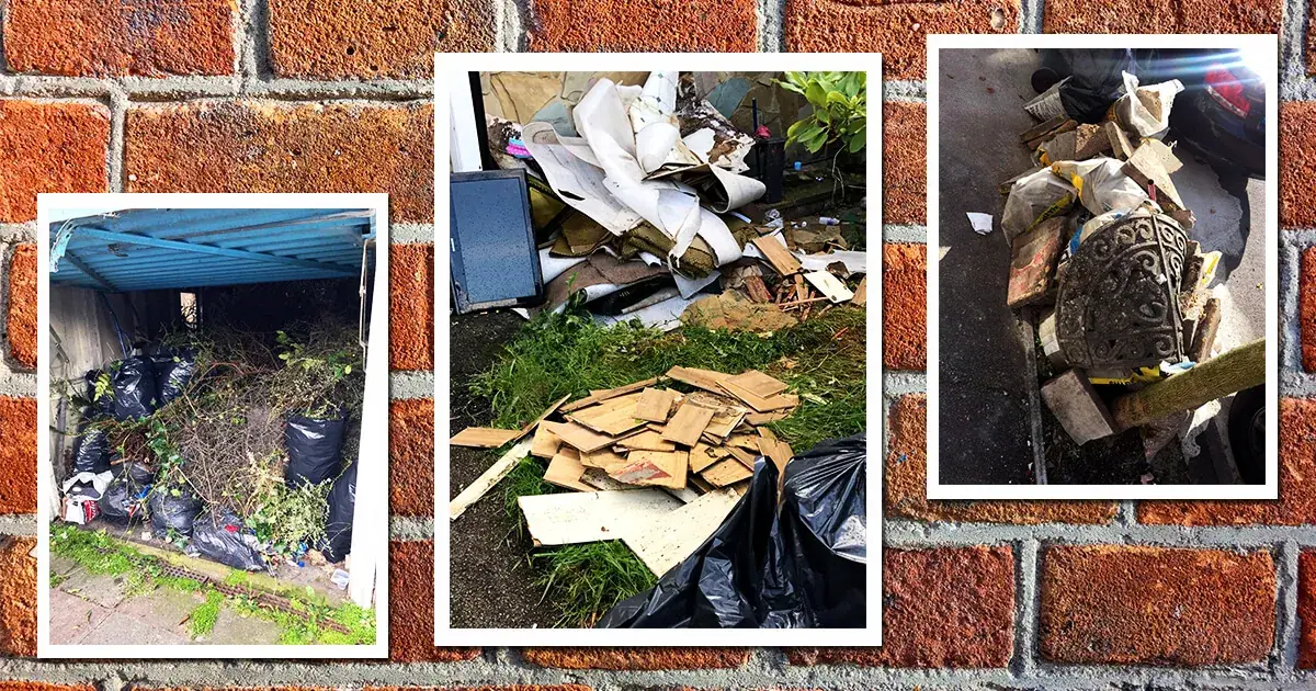waste-collection-in-beddington