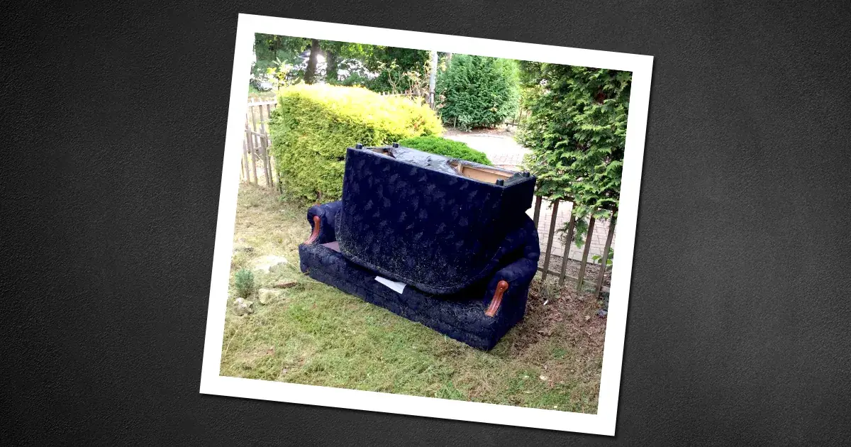 sofa-collection-service