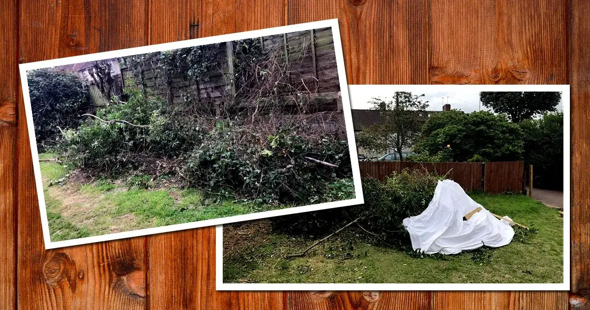 Camden town green waste collection